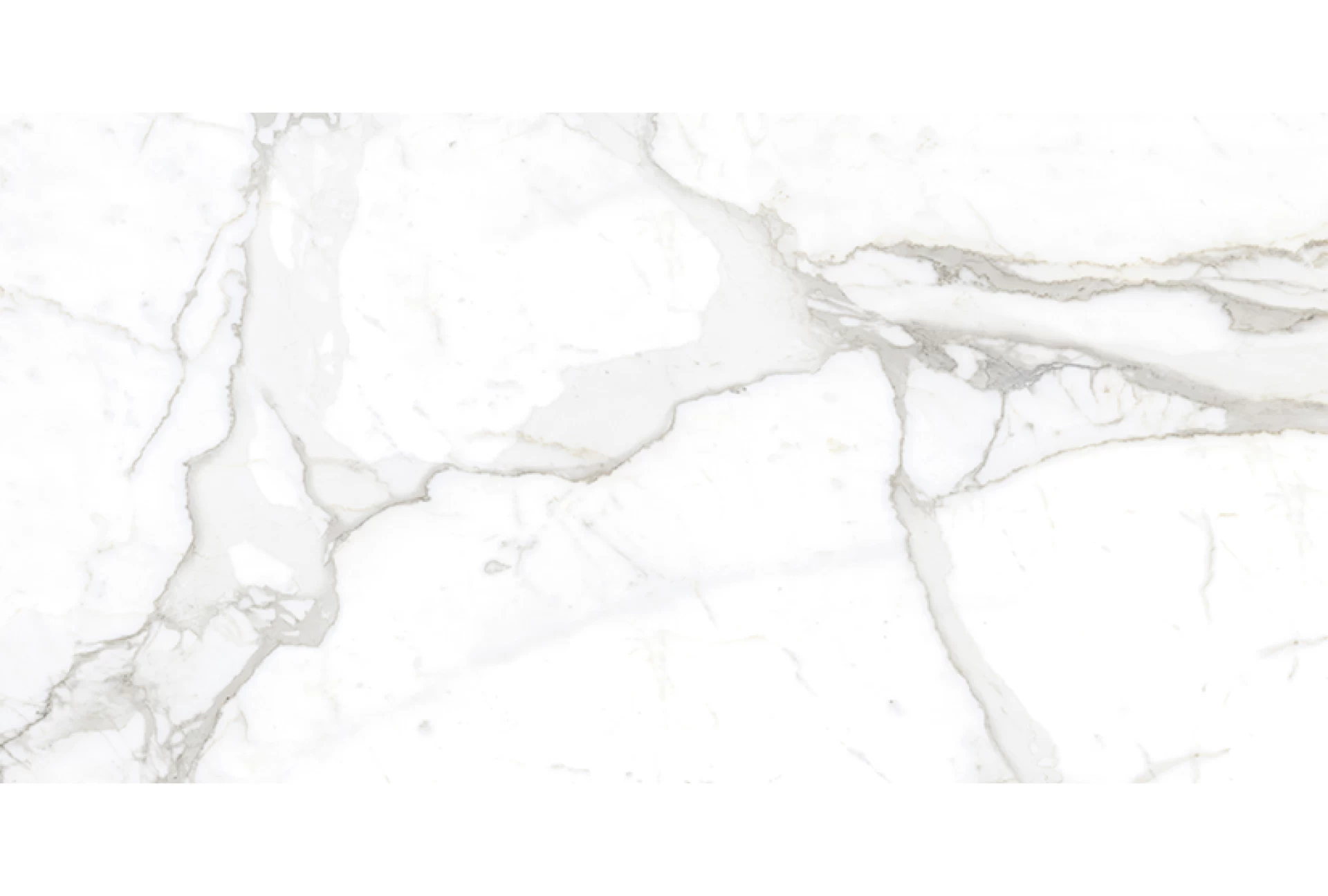 APUANE STATUARIO WHITE 80X160